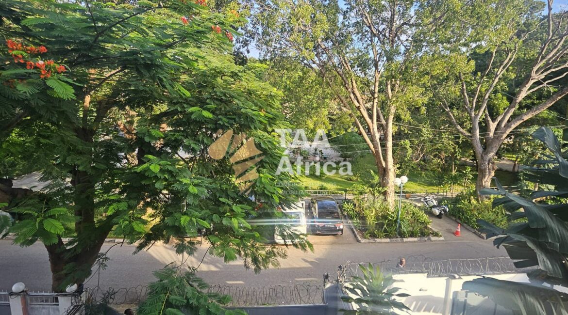 IMG-20250611-WA0301