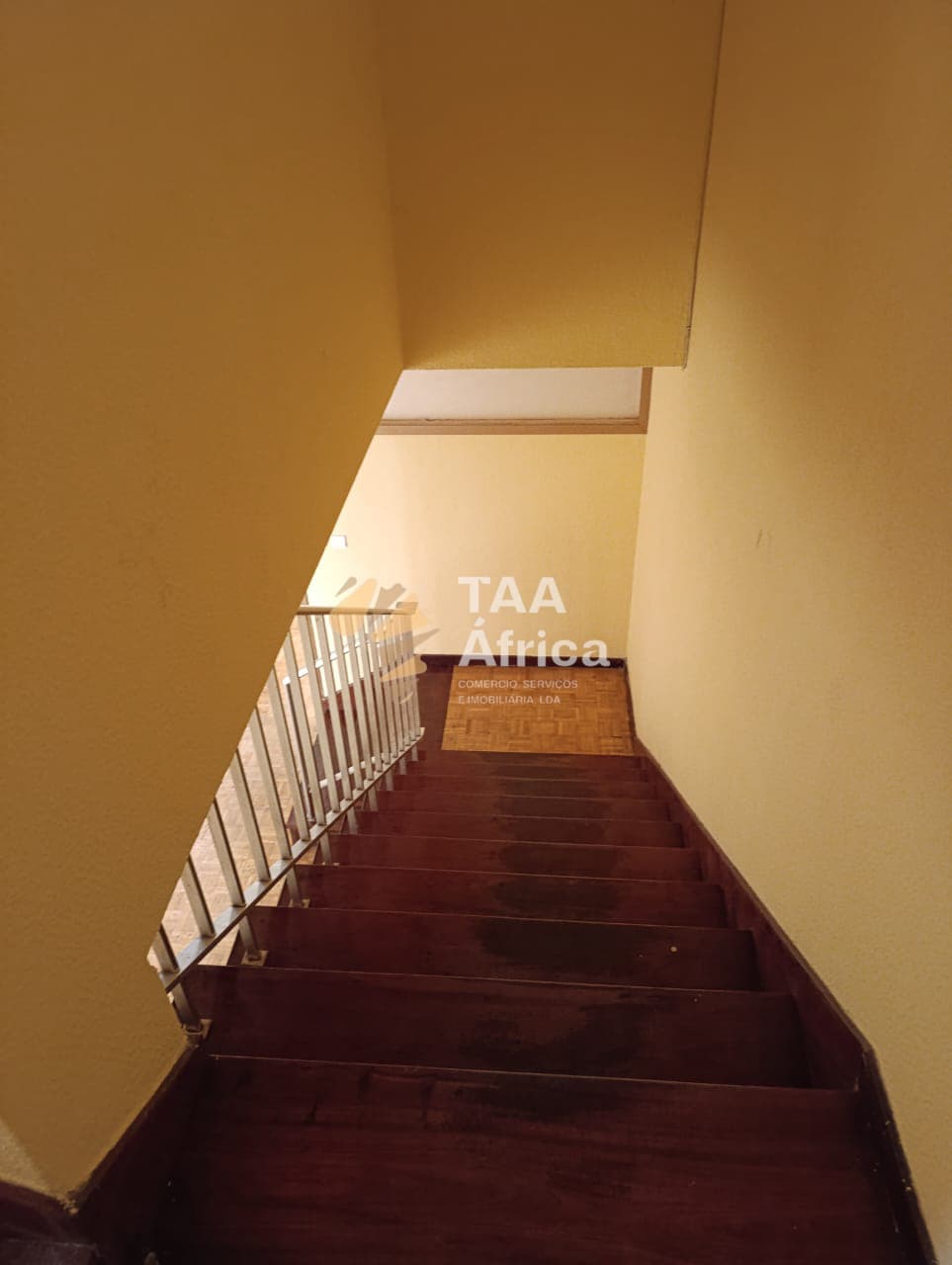 IMG-20250618-WA0252