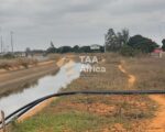 TERRENO DE 6 HECTARES NO KIKUXI