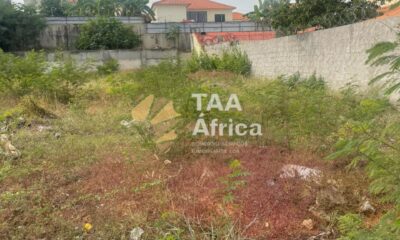 IMG-20250628-WA0171
