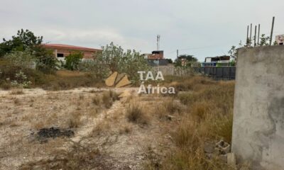 IMG-20250722-WA0335