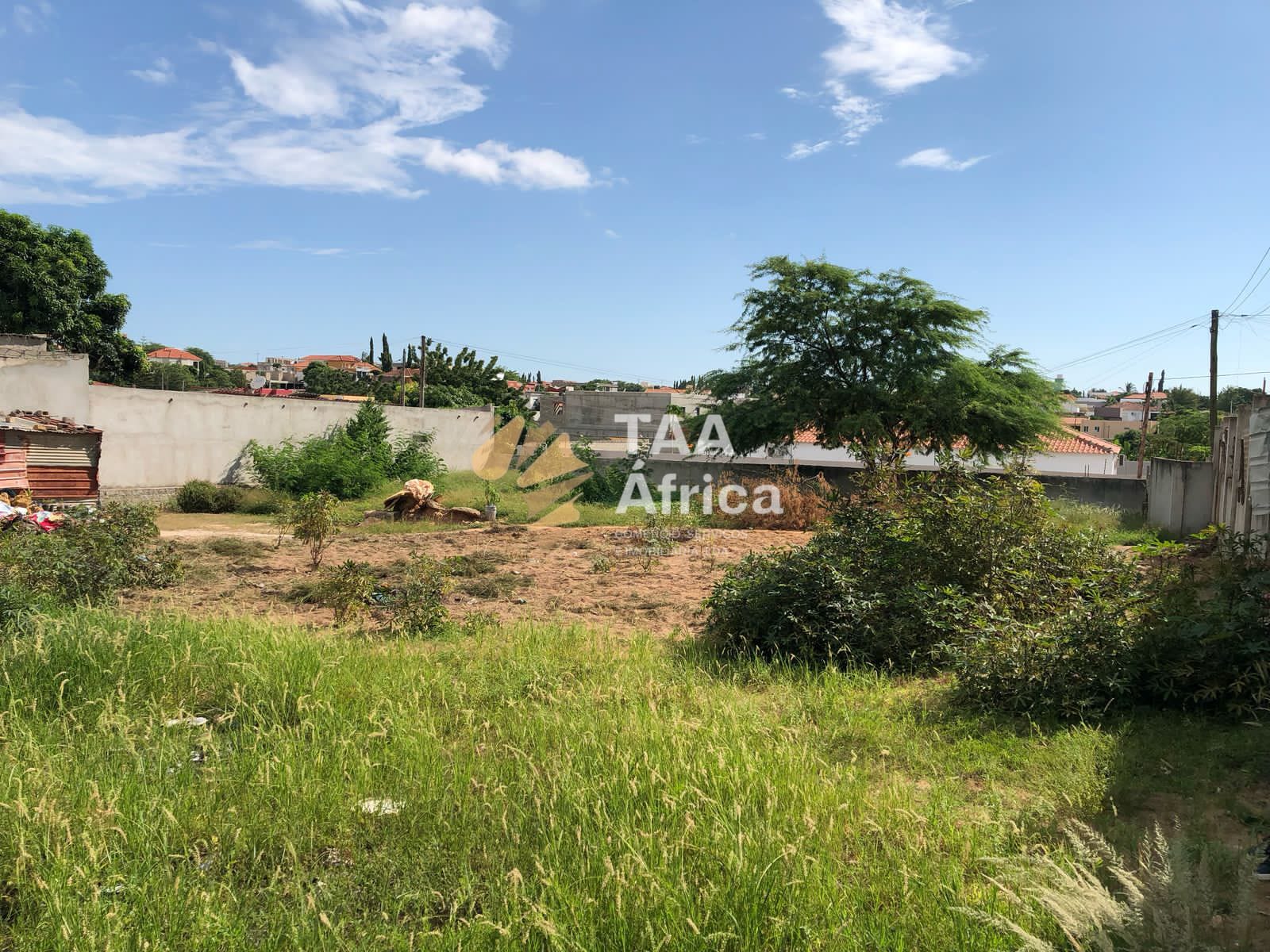 WhatsApp-Image-2025-10-28-at-16.10.04