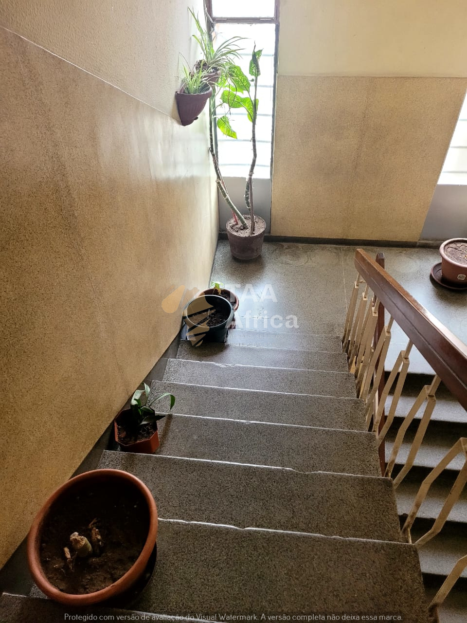 WhatsApp-Image-2025-12-19-at-14.31.28-1