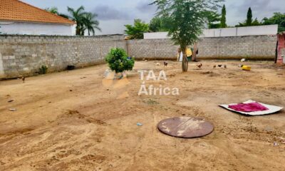 WhatsApp-Image-2026-01-16-at-07.32.24