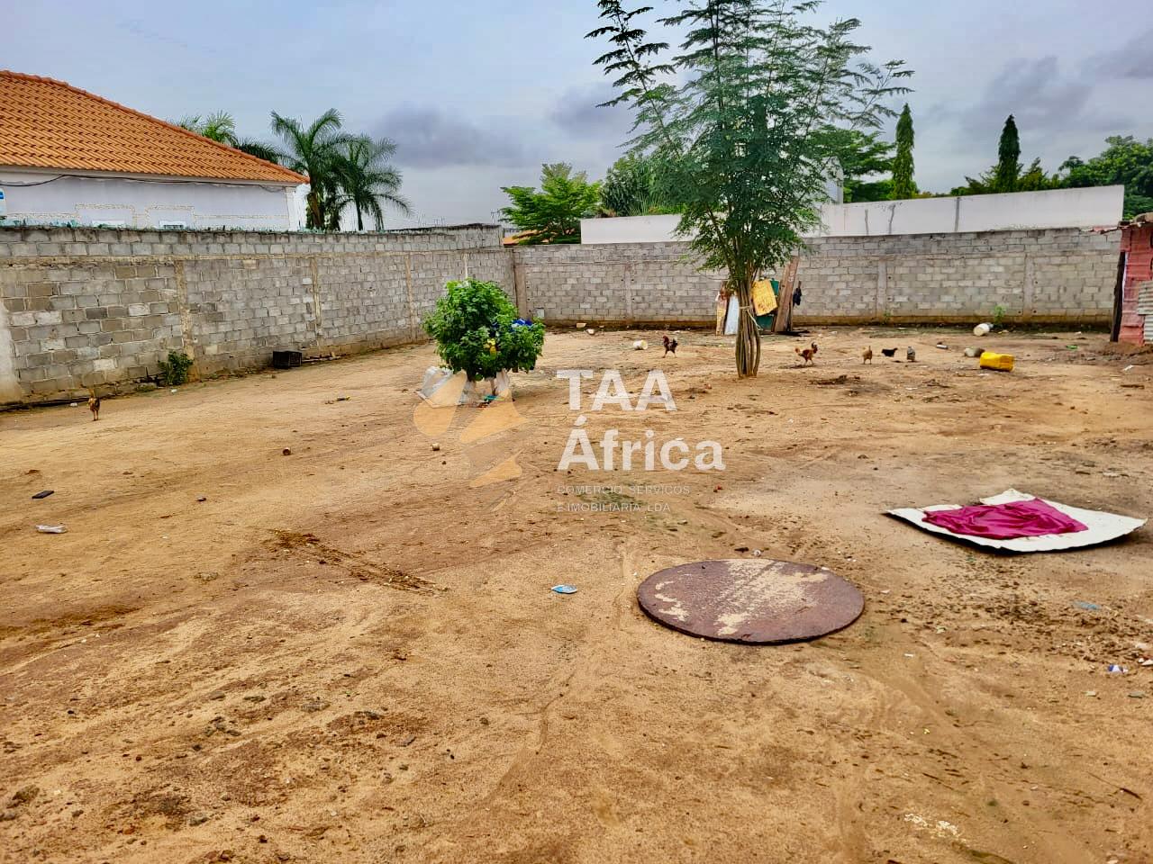 WhatsApp-Image-2026-01-16-at-07.32.24