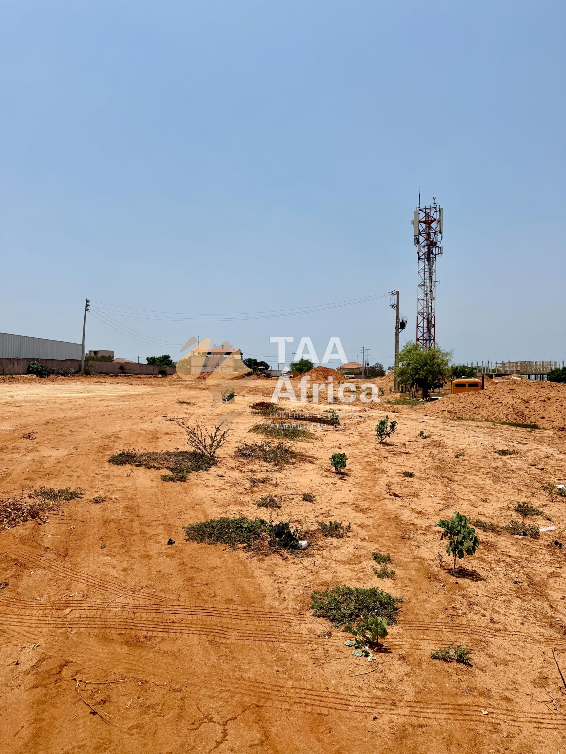 WhatsApp-Image-2026-01-31-at-19.46.40-2