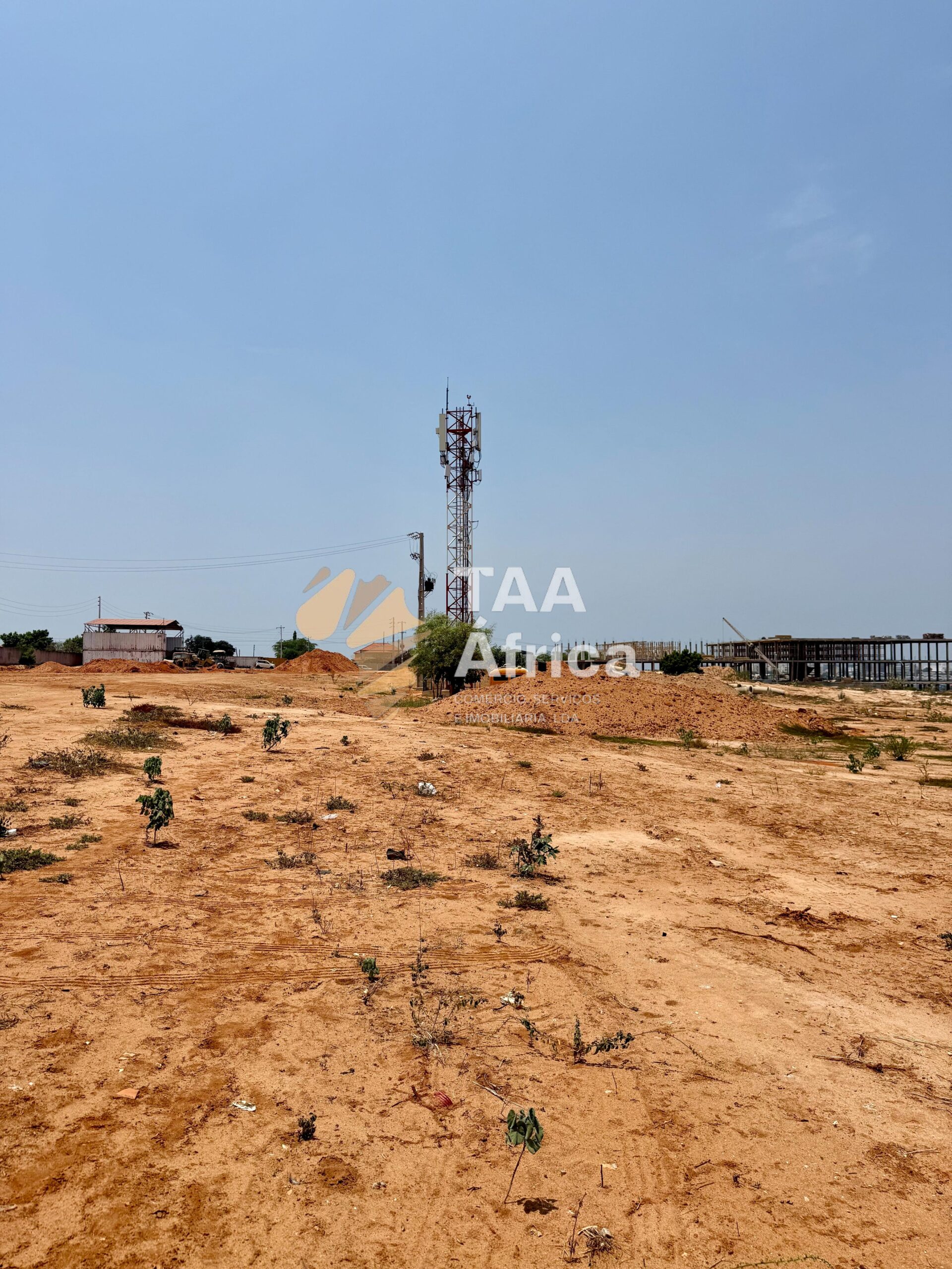 WhatsApp-Image-2026-01-31-at-19.46.40