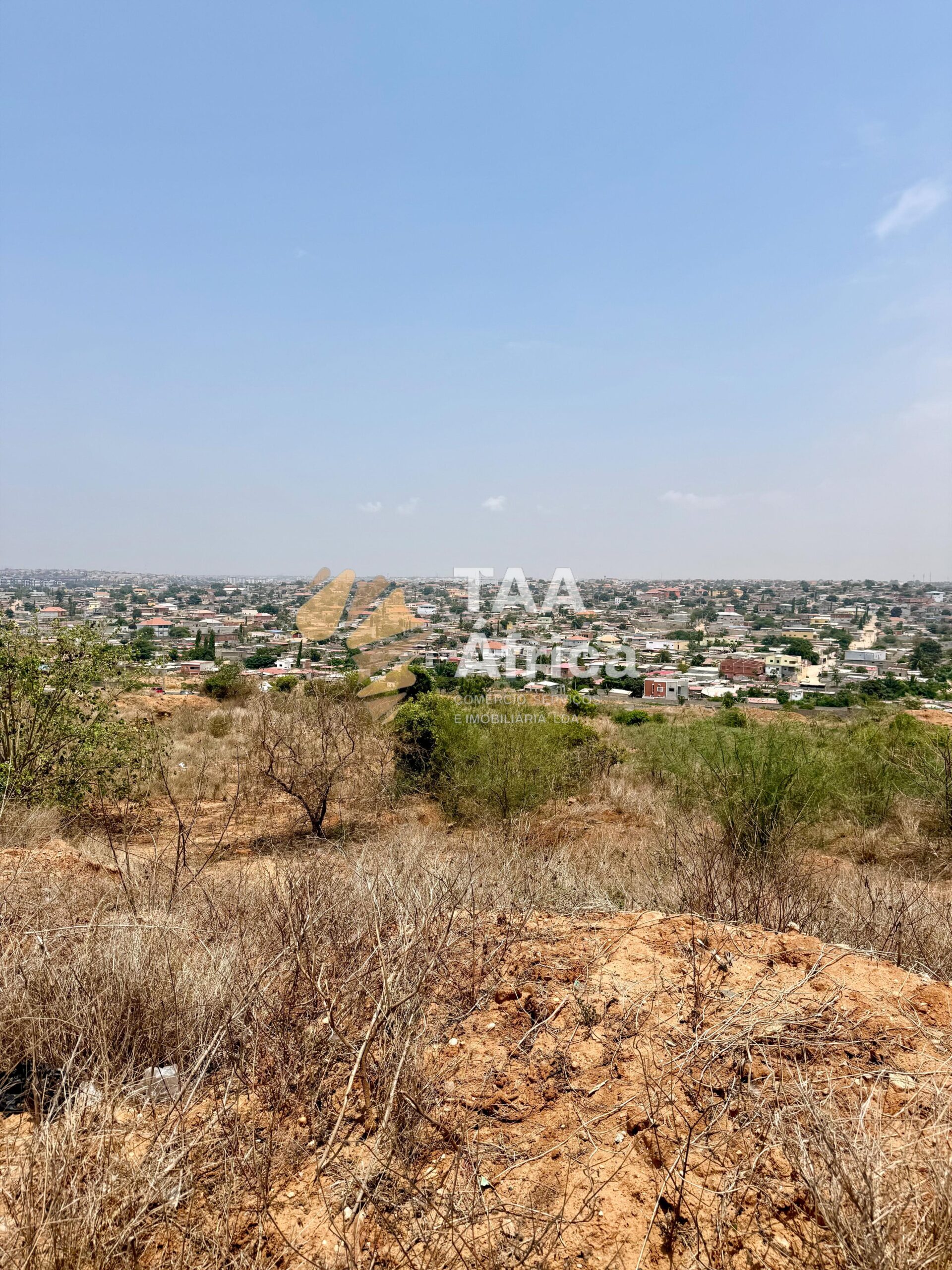 WhatsApp-Image-2026-01-31-at-19.46.41