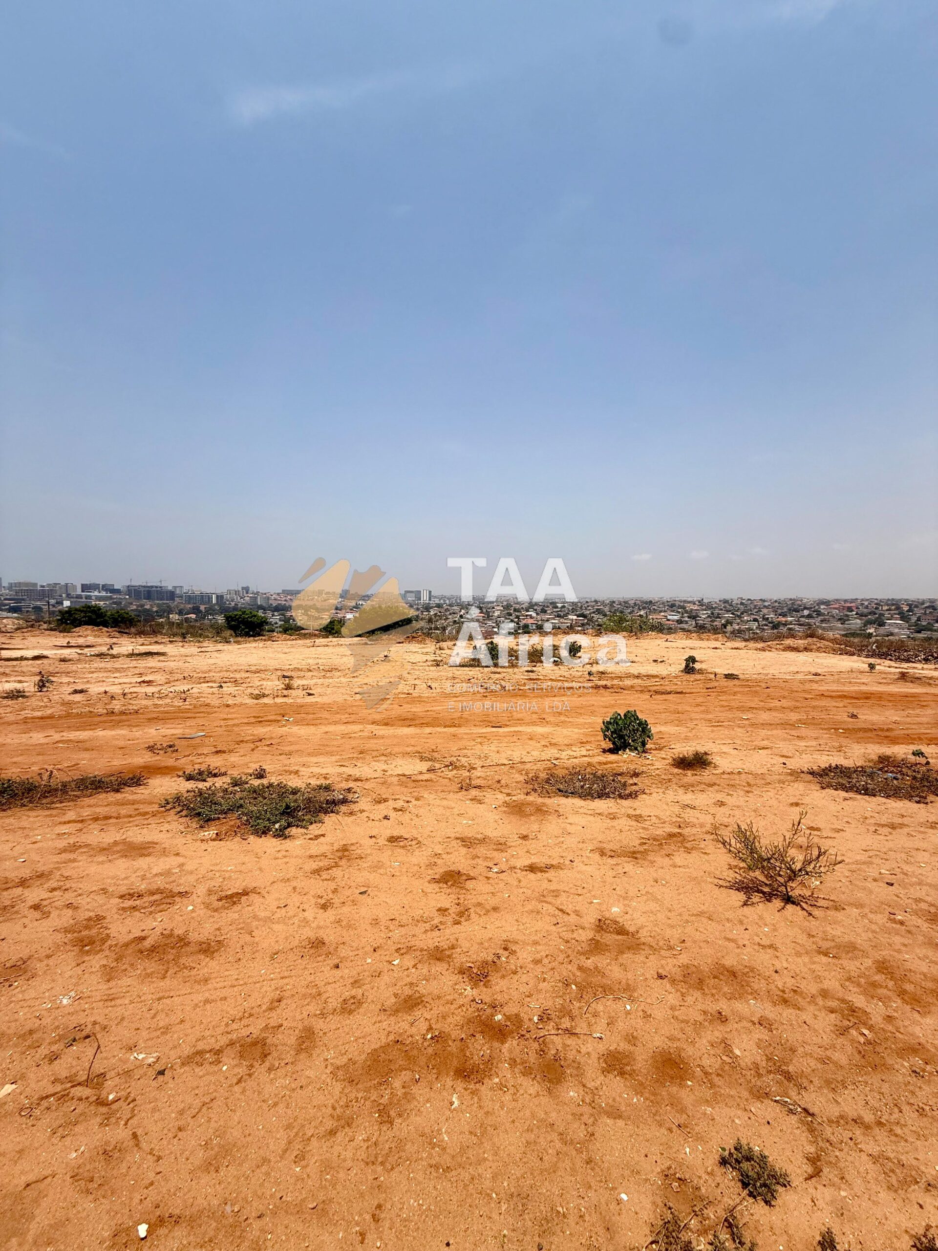 WhatsApp-Image-2026-01-31-at-19.46.42-1