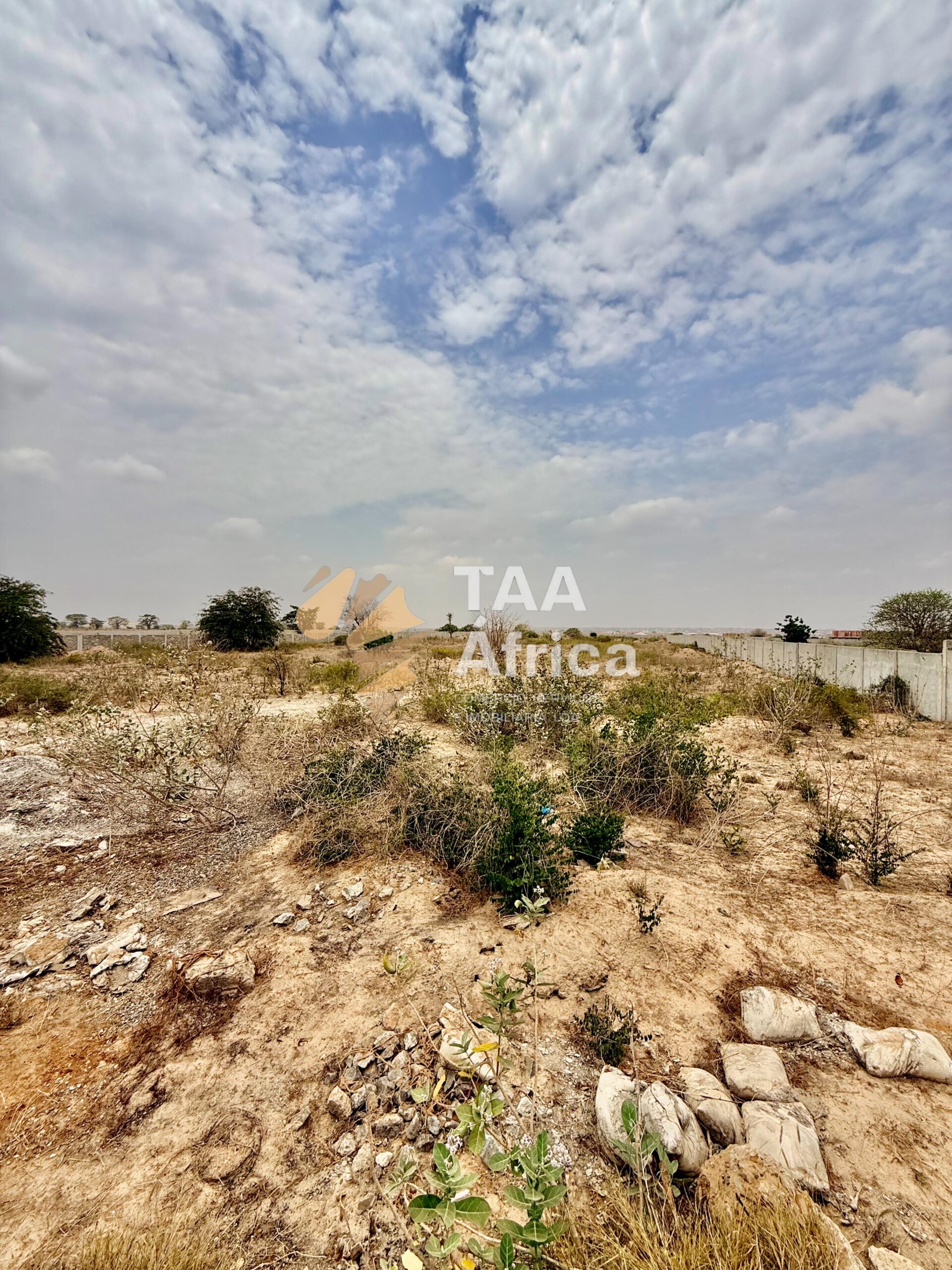 WhatsApp-Image-2026-03-05-at-21.03.51-3