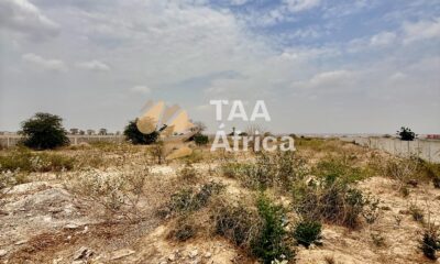 WhatsApp-Image-2026-03-05-at-21.03.51-5