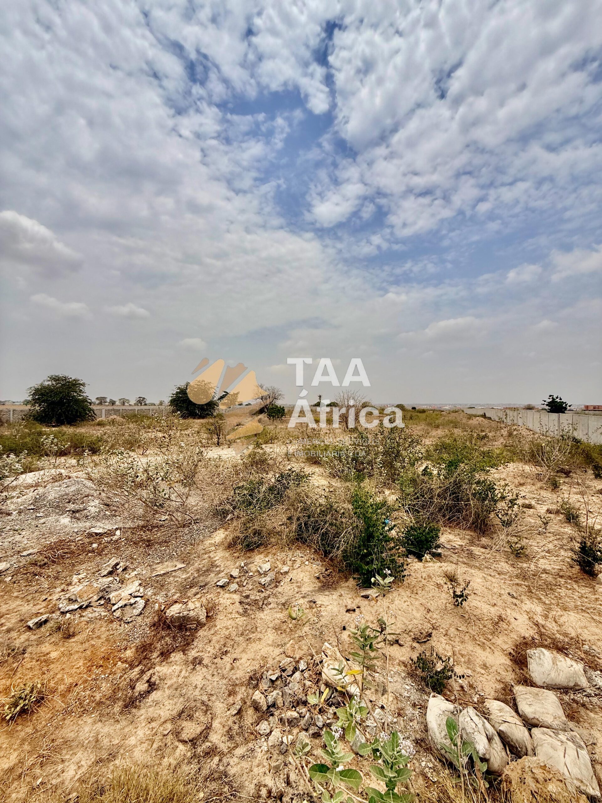 WhatsApp-Image-2026-03-05-at-21.03.51-5