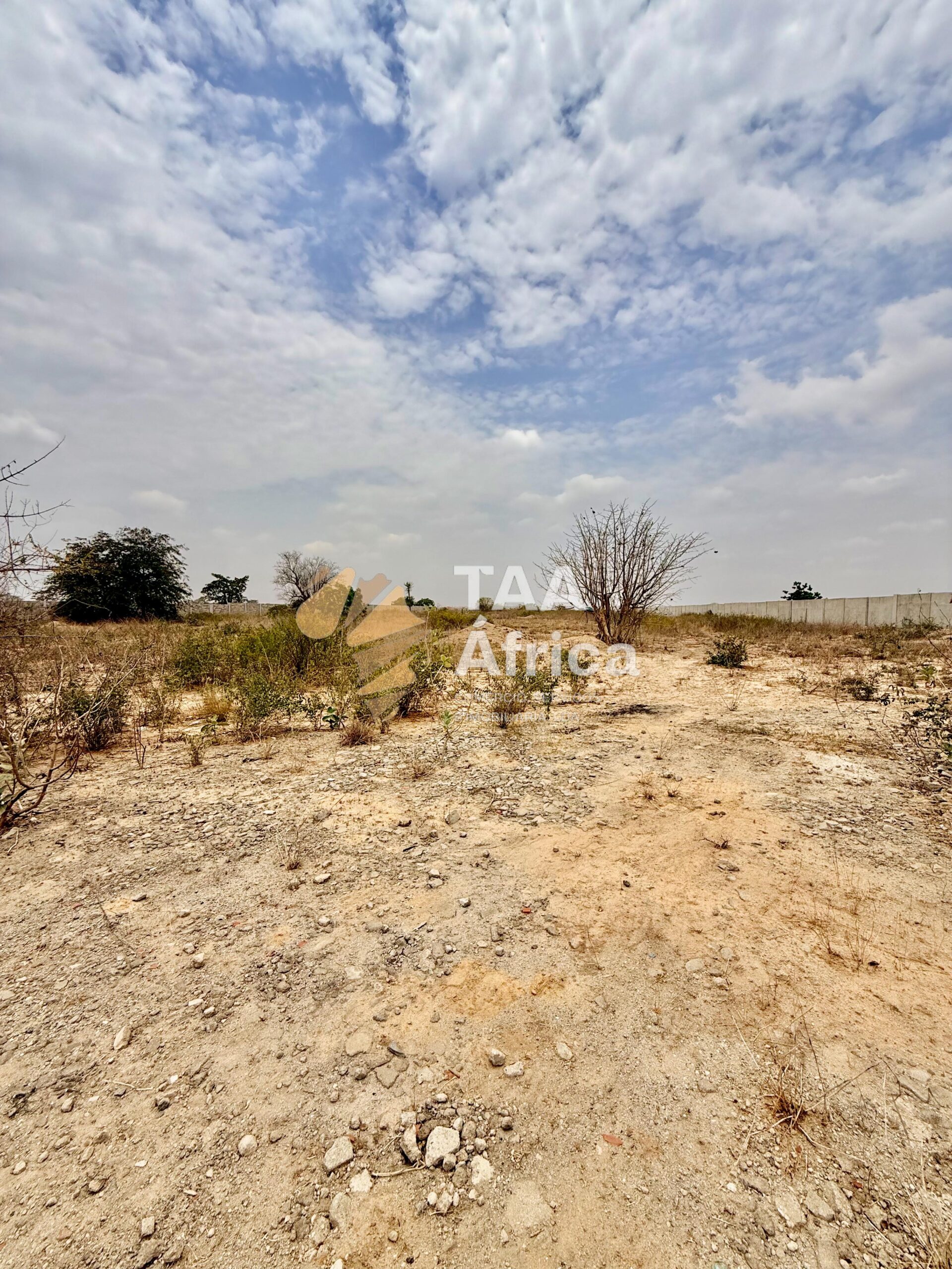 WhatsApp-Image-2026-03-05-at-21.03.52