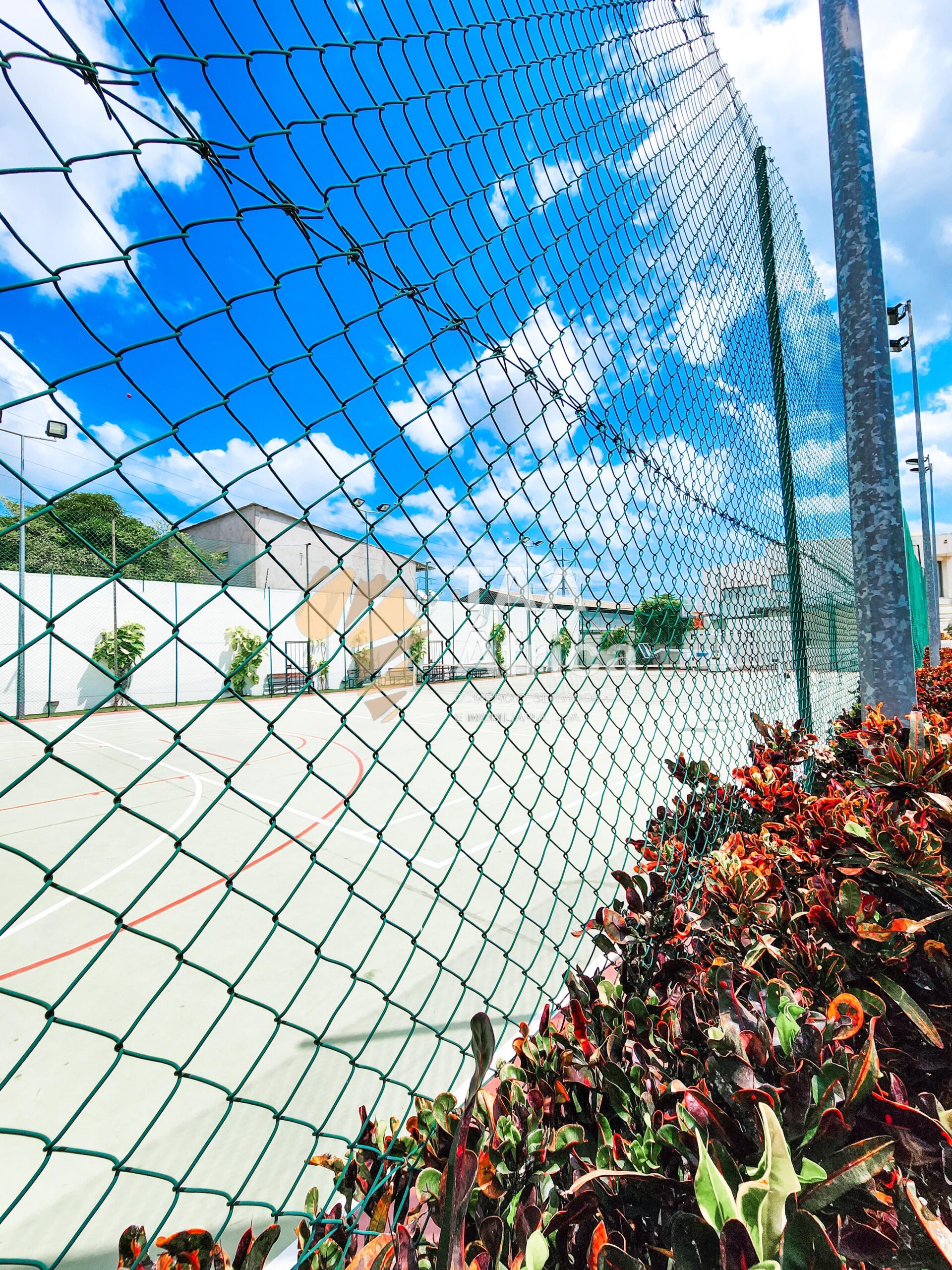 WhatsApp-Image-2026-03-08-at-18.13.18-2