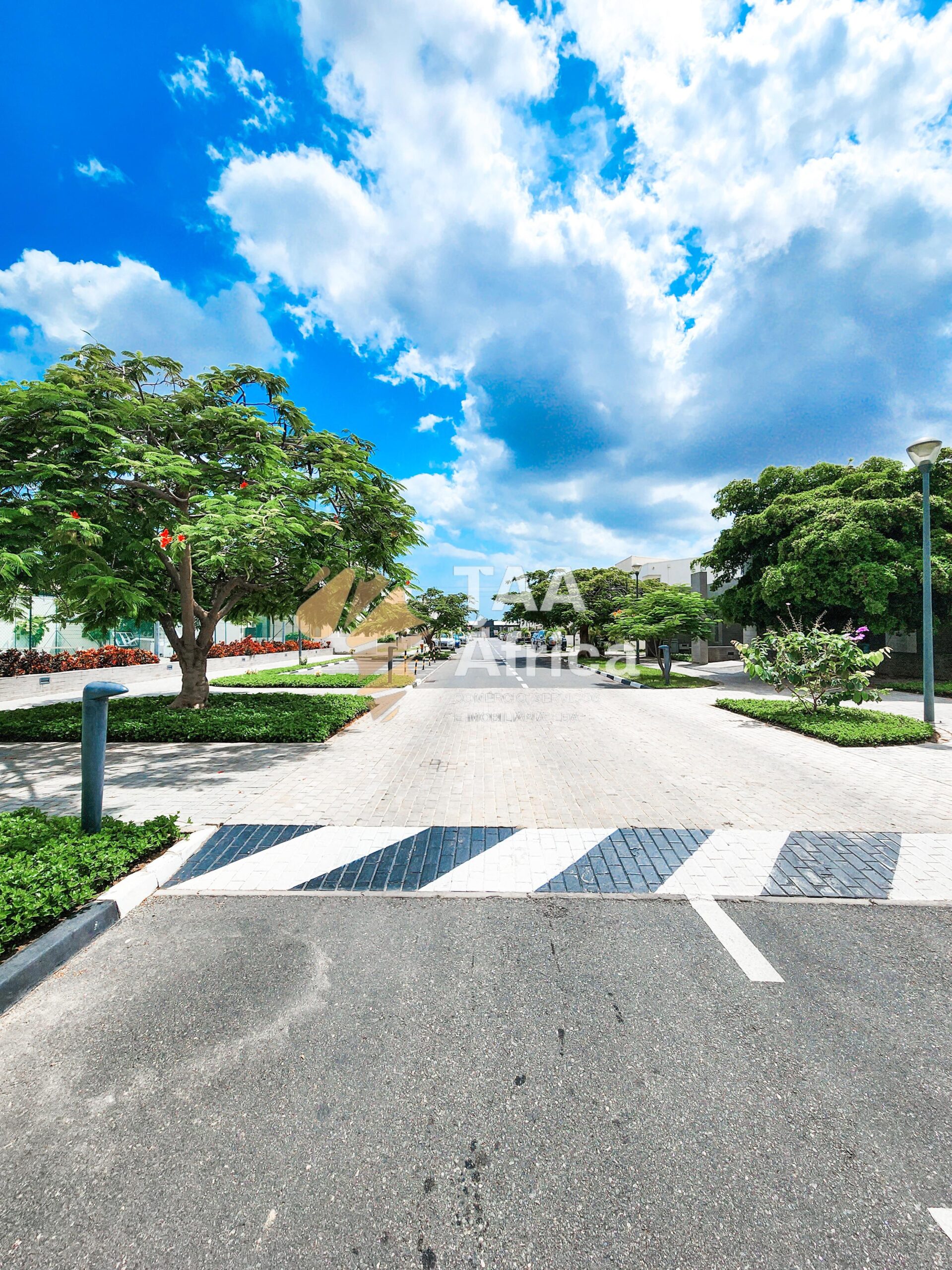 WhatsApp-Image-2026-03-08-at-18.13.18